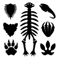Prehistoric fossil bone and claw shapes dinosaur