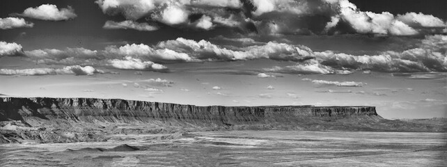 Panoramic aerial view of amazing Canyon under the sun