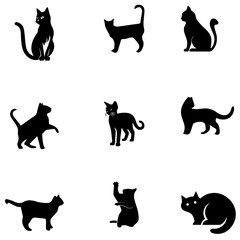 Black cat vector-1