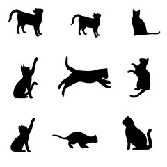 Black cat vector-3