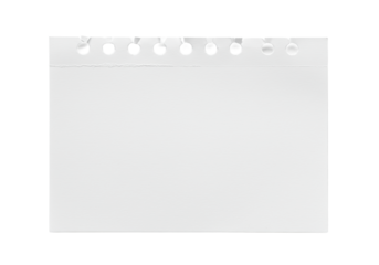 transparent paper with subtle fine grain texture, clean torn top edge, and perforation line, on a transparent background with soft studio light, conveying a concept of purity and potential