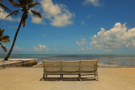 Blue water skies palm trees Florida Keys resort