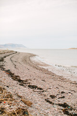 Rocky Shoreline and Distant Mountains on a Calm Coast