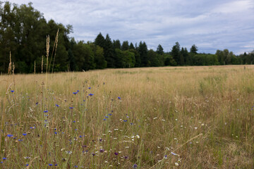 Hiking Trails in Champoeg State Park, Oregon