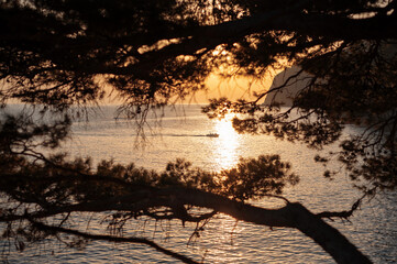 Sunset Over Sea with Boat and Silhouetted Trees