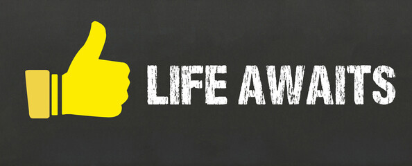 Life Awaits