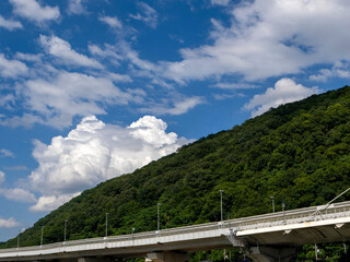 Fototapeta premium 五月山の麓を通る阪神高速道路