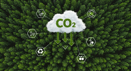 Aerial view of a dense green forest with a cloud displaying co2 and icons representing renewable energy and sustainability symbolizing carbon capture and environmental protection
