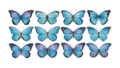 Collection of twelve blue butterflies with varying wing patterns isolated on white background, watercolor-style illustration Png