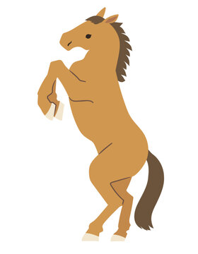 brown horse rearing up on hind legs clip art preview