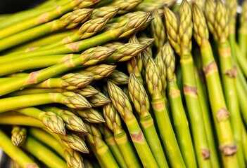 Fototapeta premium Vibrant green asparagus spears, tightly clustered, showcasing texture and detail, cooking, photography