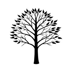 Obraz premium Birch Tree Clipart Vector Illustration