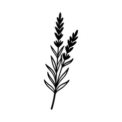 Fototapeta premium Lavender Sprig Clipart Vector Illustration