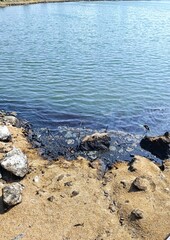 Environmental disaster .Oily surface of the sea