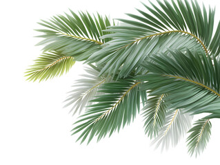 Summer Vibes Palm Leaf Cutout PNG