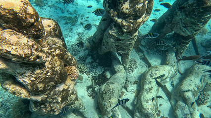 Bask Nest underwater art installation with vibrant fish at Gili Meno dive site