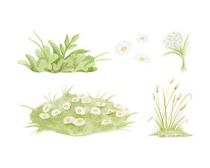 Watercolor pastel green grass and white chamomile wildflowers hand drawn illustration set. Summer blooming meadows and hills kit. Blossoming rural isolated landscape for countryside designs