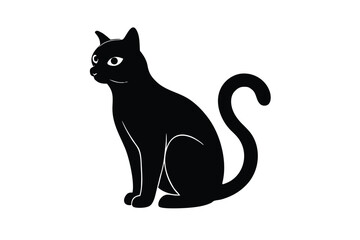 black and white cat
