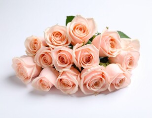 연핑크 장미꽃 다발 클로즈업 Close-Up of Light Pink Rose Bouquet
