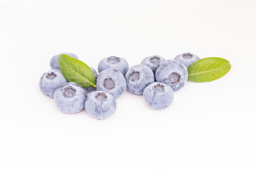 blueberries in the forest