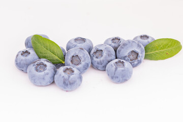 blueberries in the forest