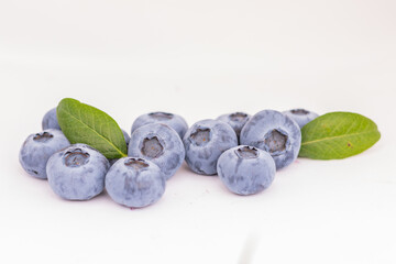 blueberries in the forest
