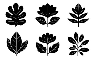 Elegant Black and White Botanical Illustrations Leaves, Flowers, and Foliage Silhouettes, Perfect for Design Projects, Printable Art, and More