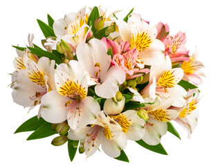 Fototapeta premium ummer season flowers bouquet made with Alstroemeria , isolated on transparent backgr
