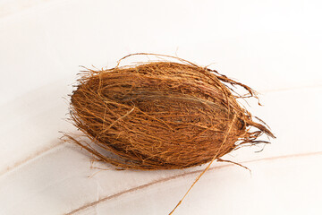 Natural exotic brown hairy coconut