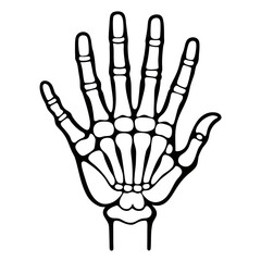 Skeleton Hand with Open Palm Outline Silhouette Vector for Anatomy and Medical Education

