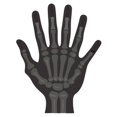 Skeleton Hand with Open Palm Silhouette Vector for Anatomy and Medical Illustration

