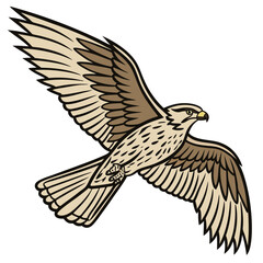 Naklejka premium Vector Illustration of a Flying Hawk with Outstretched Wings