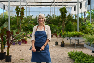 Senior woman gardener smiling and holding tablet in greenhouse