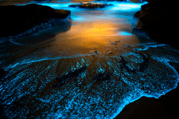 Bioluminescent waves shimmer along the shoreline in New South Wales, Australia, creating a surreal...