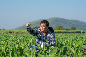 Agronomist Using Technology in Agricultural Corn Field. Farmer Agronomist Inspecting Corn with a Tablet.