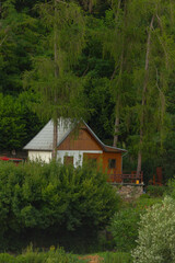 There is a quaint, small wooden house situated right in the middle of a beautiful forest that is surrounded by tall trees and greenery