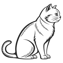 Obraz premium Black and White Cat Sitting in Profile feline animal