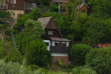 A charming house perched on a gentle hill, beautifully surrounded by tall trees and vibrant bushes...