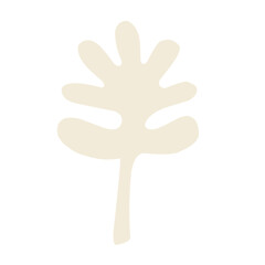 Fototapeta premium abstract nature shape vector