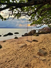 Empty rustic swing on a tranquil beach at dusk.
