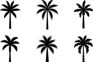 Tropical palm trees silhouettes black white