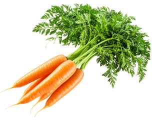 Fresh Carrots with Green Leaves Isolated on White Background