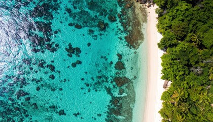 Aerial view of a pristine beach with turquoise water and lush greenery, capturing the beauty of nature in a tropical paradise.