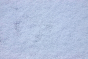 Snowy landscape covering the ground with a soft, white blanket during a winter afternoon in a quiet countryside area