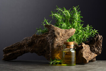 Rosemary essential oil and fresh rosemary with old snag on a stone background.