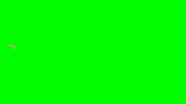 Pink Guava Splash Animation Green Screen Footage