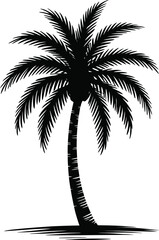 Obraz premium Black palm tree silhouette tropical foliage