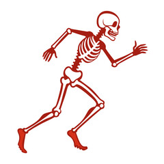Skeleton in Running Pose Outline Silhouette Vector for Biology and Medical Education