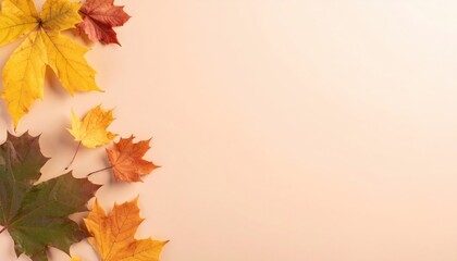 Autumn leaves falling nature photo series soft background close-up view seasonal change