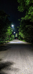 night road in the park